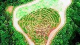 种菜都按“五行”布局？此地定有玄妙！