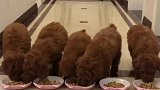 教育从娃娃身上抓起