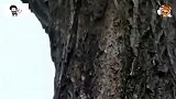 爆笑：家有贤妻，每天下班的第一时间就是回家