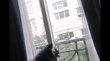 下面请欣赏男高音高歌一曲谁家还没个傻狗