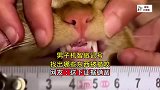 男子机智做记号，找出哪些东西被猫咬,这下证据确凿