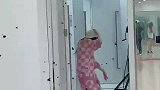 你们有看过少女偶像是怎么赶苍蝇的吗？？？