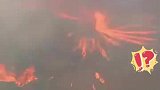 森林火灾，现罕见“火龙卷”