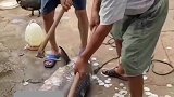 男子钓到超大青鱼，全家上阵半天才清理好