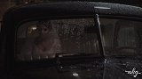 天价合同＋娇艳美妻 国安意中人简直是人生赢家啊