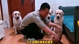 小小迷糊首次参加比赛，竟然抢了个第一，也是个厉害的角色