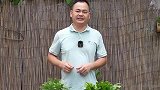 蟹爪兰夏季休眠，如何管理更好度夏？看完明白了