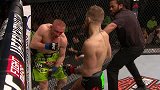 UFC-15年-UFC Fight Night 59：羽量级麦格雷戈vs西弗-全场