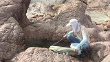 黑色水草坑摸出“花龙”，阿辉被吓一大跳，3只像金蛋的蟹更抢镜