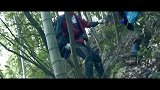 男子荒山野岭救美女！（爬山经典桥段，美女就是要崴脚的）