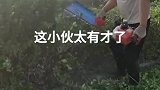 园林绿化清理，小伙做了20年，这技术常人学不会！