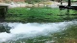 追寻山泉水美妙的歌声，外面那个世界是桃花源么！