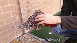 牛人奇思妙想，用螺丝钉打造爱神之箭，成品让人羡慕！
