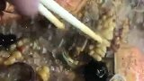 食材实在，味道好