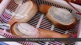 为什么象拔蚌那么贵，看完挖出来的方式，不愧是高级海鲜，值了