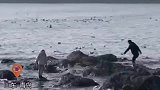 海水涨潮男子将妻子孩子趟水背回