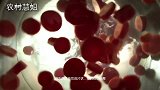鸡蛋炒西红柿制作方法，你学会了简单的很