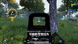 和平精英中，这些游戏行为不要有，不然后果很严重