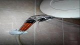 VID_20150110_103142.mp4