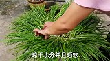 韭菜再多都能保存，朱大嫂把韭菜腌制成咸菜，好吃开胃又下饭