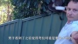 考拉闯进人类的住所，向男子要水喝，镜头记录搞笑全过程