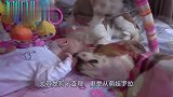 小宝宝哇哇一哭，家里的两个狗子这反应，也太暖了吧