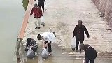 这么多人放生鱼,真是功德无量