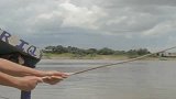 PPTV旅游亚马逊垂钓食人鱼