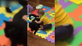 宝宝揪住黑猫，黑猫却只回头看了一眼，真萌！