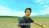 实拍北京曾经的供水水源地官厅水库，它也是永定河生态补水的地方