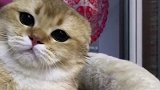 所以你起床没