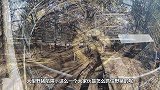 美国野猪泛滥成灾，农场主请人布置陷阱抓捕野猪，效果太惊人了！