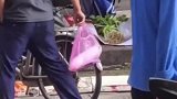 这跳跃力一绝，高兴的像个孩子