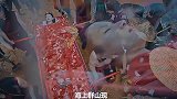海神娶亲，没想到新婚被一条大鱼截胡，孩子到底是谁的？