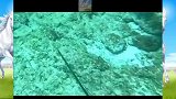 海底世界真是处处是危险，发现不对劲了嘛