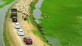 堵车的第一辆车，你不知道他到底经历了什么