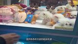 小茶杯犬混入娃娃机，小哥：来吧宝贝，带你回家！