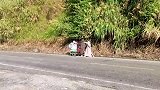 杨过那么惨了吗沦落到卖凉面,炸土豆的地步了!