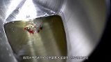 水宝宝都被冻坏了，老外把水宝宝放到干冰上，下一幕多少人没见过