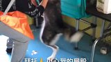 放开我我不洗