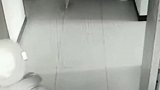 泰迪犬双目失明，意外走出家门，没想到却被恶毒邻居砍伤！