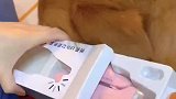 新入手的狗狗指甲钳真心好用！
