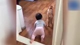 瞅这肥猫，连步子都不想迈，你推它一下才挪一下！