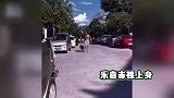 辣眼睛!乐嘉裸上身逛菜市场大秀腹肌,霸气怼网友:我是野人