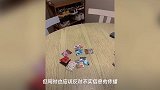 蒋劲夫方否认家暴,称并未实施任何暴力行为,并要求女友公开道歉