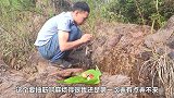 vlog小哥把牛蛙放在石板上烤，这样操作能吃吗？