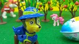 汪汪队阿奇拾金不昧，和露玛一起玩新奇魔术蛋