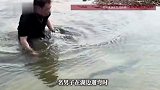 超好运！男子湖边遛弯，徒手捡到近10斤重大鱼：抱起来很有成就感