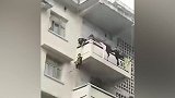 奶奶为救猫用绳将孙子吊到楼下 网友：猫才是亲生的！