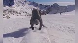 帅爆了！反向滑雪你见过么？ 外国小哥上演高难度表演